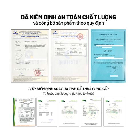Chai Xịt Đuổi Kiến Sinh Học The Loco 260ml - An Toàn, Không Độc Hại, Tinh Dầu Tự Nhiên, Giải Pháp Đuổi Côn Trùng Hiệu Quả