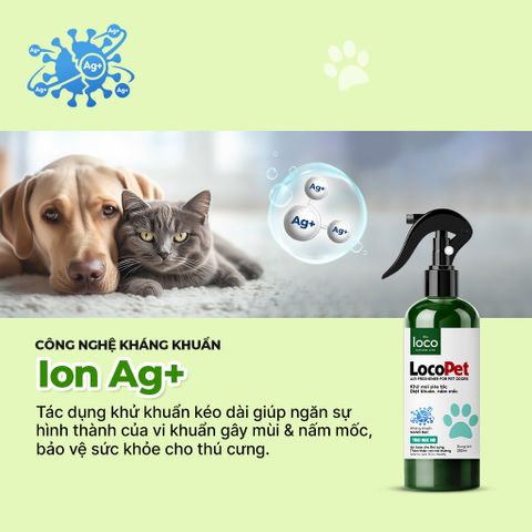 Xịt Khử Mùi Nước Tiểu Chó Mèo Khử Mùi Siêu Nhanh, Khử Khuẩn và Nấm Mốc, An Toàn cho Sức Khỏe Thú Cưng