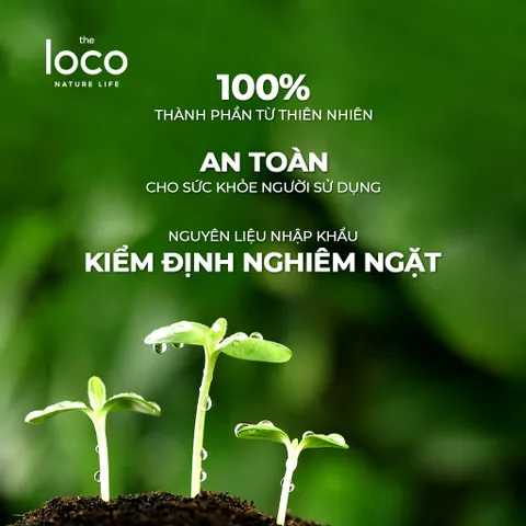 Xịt Phòng Tinh Dầu Sả Bạc Hà The Loco - Khử Mùi, Thanh Lọc Không Khí, Hương Tươi Mát 250ml - Giải Pháp Thơm Sạch Tự Nhiên
