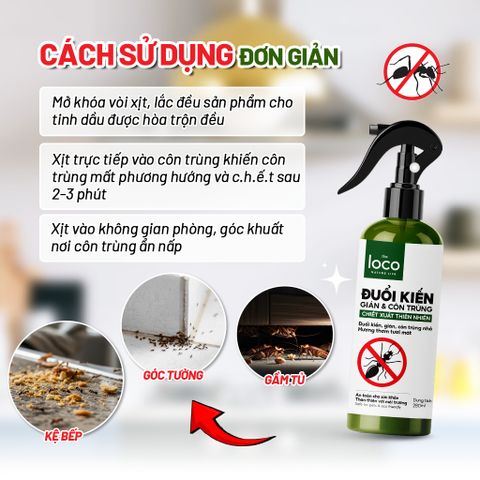 Chai Xịt Đuổi Kiến The Loco 280ml - Giải Pháp Đuổi Côn Trùng Tự Nhiên An Toàn, Đuổi Kiến, Gián, Muỗi Hiệu Quả