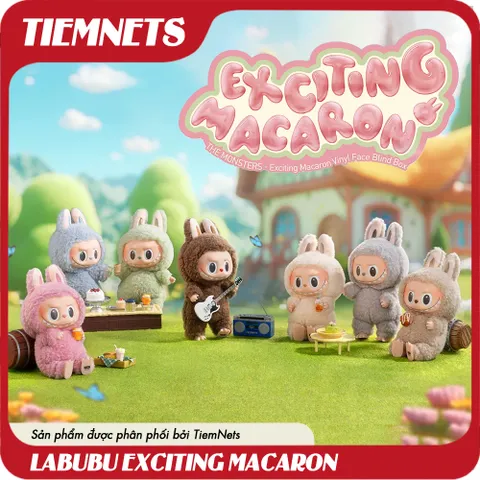MÔ HÌNH BLIND BOX LABUBU VOL 1 - EXCITING MACARON VINYL FACE