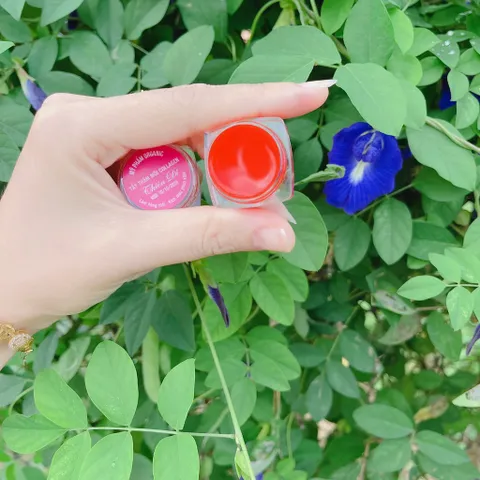 Kem Dưỡng Môi Collagen Hồng Tự Nhiên - Xóa Thâm, Giúp Môi Luôn Hồng Hào, Mềm Mịn, Chống Nắng, Duy Trì Làn Môi Khỏe Mạnh