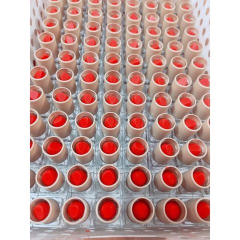Thỏi Son Dưỡng Collagen Đỏ Cam - Dưỡng Môi Sau Phun Xăm, Giảm Khô Nứt Nẻ, Tăng Cường Độ Ẩm, Căng Mọng Môi