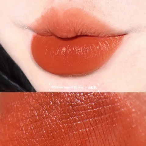 Son Tom Ford Lip Color Satin Matte 51 Afternoon Delight Màu Cam Cháy