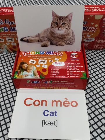 Bộ Thẻ Học Thông Minh A5 - 100 Flashcard Hai Ngôn Ngữ Anh-Việt Cho Trẻ 0-6 Tuổi - Nhận Biết Thế Giới Xung Quanh