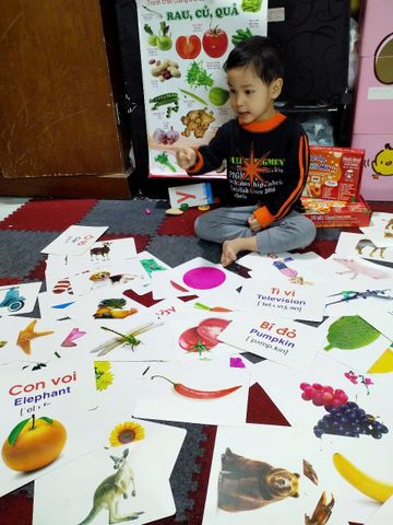Bộ Thẻ Học Thông Minh A5 - 100 Flashcard Hai Ngôn Ngữ Anh-Việt Cho Trẻ 0-6 Tuổi - Nhận Biết Thế Giới Xung Quanh