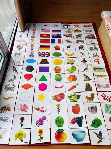 Bộ Thẻ Học Thông Minh A5 - 100 Flashcard Hai Ngôn Ngữ Anh-Việt Cho Trẻ 0-6 Tuổi - Nhận Biết Thế Giới Xung Quanh