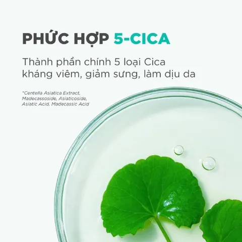 Kem Dưỡng Phục Hồi Candid B5 Cica Repair & Soothing Cream 50ml