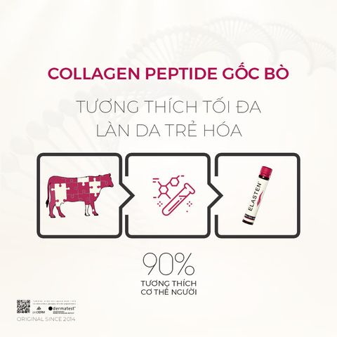 Collagen Elasten Hộp 28 ống x 25ml Chống Lão Hoá Giúp Da Căng Mịn Trắng Sáng