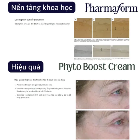 Kem Dưỡng Chống Lão Hóa Và Phục Hồi Hàng Rào Bảo Vệ Da Pharmaform Phyto Boost Cream 30ml