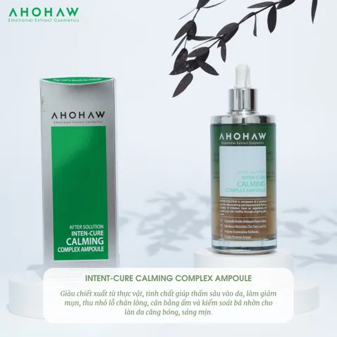 Tinh Chất Phục Hồi Da Cao Cấp Ahohwa After Solution 150ml