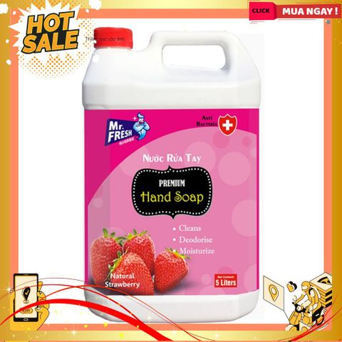 Nước Rửa Tay Premium Mr Fresh 5L Hương Táo, Dâu, Quế - Kháng Khuẩn, Làm Sạch Mềm Mại - Sản Phẩm Hàn Quốc Chất Lượng Cao