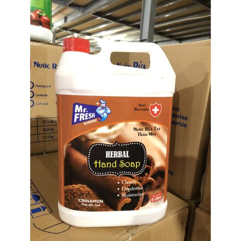 Nước Rửa Tay Premium Mr Fresh 5L Hương Táo, Dâu, Quế - Kháng Khuẩn, Làm Sạch Mềm Mại - Sản Phẩm Hàn Quốc Chất Lượng Cao