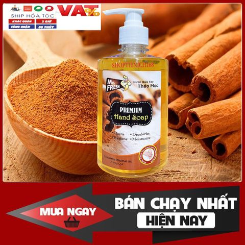 Nước Rửa Tay Khử Mùi Diệt Khuẩn Mr.Fresh 500ml - Hương Xả Chanh Mát Lạnh, Bảo Vệ Tay Khỏi Vi Khuẩn, Dưỡng Da Mềm Mại