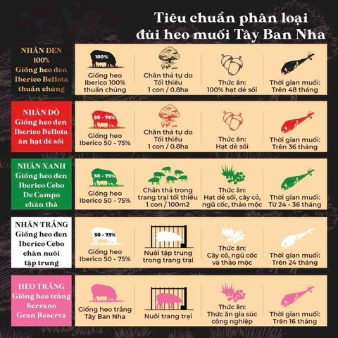 Đùi Heo Đen Muối Deraza Iberico Paleta Bone-in - Thịt Muối Cao Cấp Từ Tây Ban Nha, Hương Vị Béo Ngậy, Biếu Tặng Sang Trọng