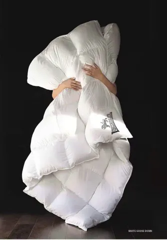 Chăn Lông Ngỗng Nhập Khẩu Hungary - LONGSHIDAIER 2x2m3 Siêu Ấm, Siêu Nhẹ, Sang Trọng Kèm Túi Xách Cao Cấp