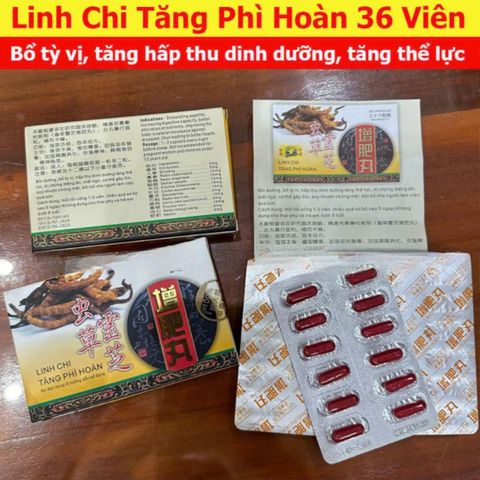 Viên Uống Linh Chi Tăng Cân Wisdom - Hỗ Trợ Tăng Cân Hiệu Quả Cho Người Gầy 36 Viên