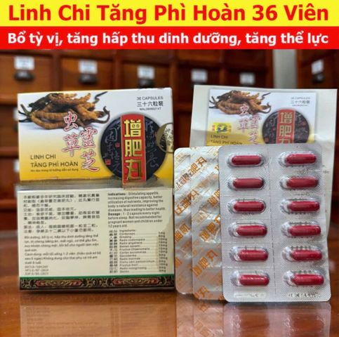 Viên Uống Linh Chi Tăng Cân Wisdom - Hỗ Trợ Tăng Cân Hiệu Quả Cho Người Gầy 36 Viên