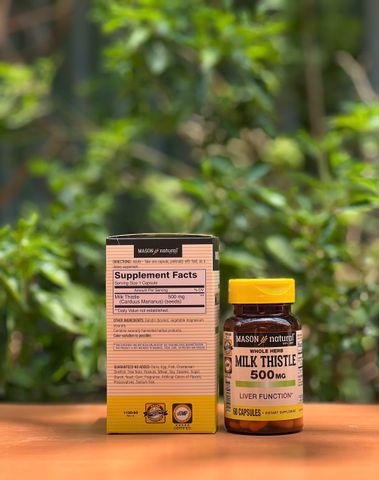 Viên Uống Thải Độc Gan Mason Natural Milk Thistle 500mg - Hỗ Trợ Chức Năng Gan, Giảm Men Gan Cao, 60 Viên