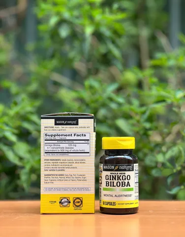Viên uống bổ não Ginkgo Biloba Mason Natural 60 viên - Hỗ trợ trí nhớ, tập trung và tuần hoàn máu, sản xuất tại Mỹ
