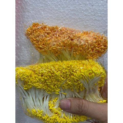 Nhụy Bột Làm Hoa Giả Nghệ Thuật - 100 Tép Nhụy Hữu Ích Cho Hoa Sen, Hoa Mai, Hoa Đào - Xuất Xứ Thái Lan