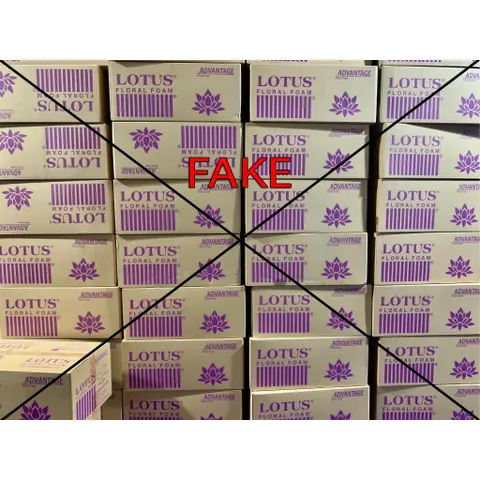 Xốp Cắm Hoa Tươi Lotus Chính Hãng Malaysia - Thùng 20 Viên Giữ Nước Tươi Lâu, Dùng Cắm Hoa, Kệ Hoa, Bán Hàng Chất Lượng Cao