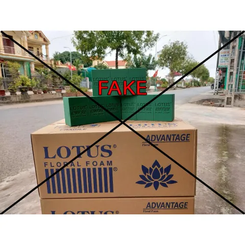 Xốp Cắm Hoa Tươi Lotus Chính Hãng Malaysia - Thùng 20 Viên Giữ Nước Tươi Lâu, Dùng Cắm Hoa, Kệ Hoa, Bán Hàng Chất Lượng Cao