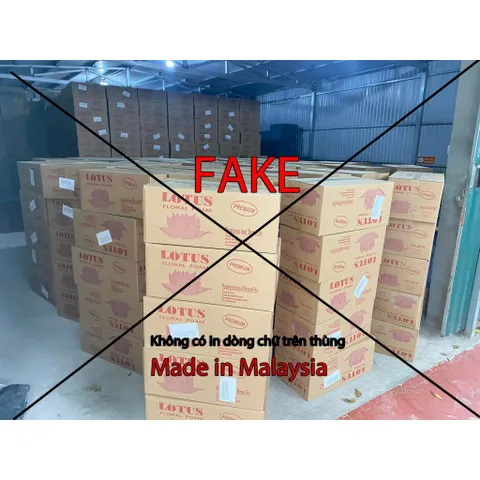 Xốp Cắm Hoa Tươi Lotus Chính Hãng Malaysia - Thùng 20 Viên Giữ Nước Tươi Lâu, Dùng Cắm Hoa, Kệ Hoa, Bán Hàng Chất Lượng Cao