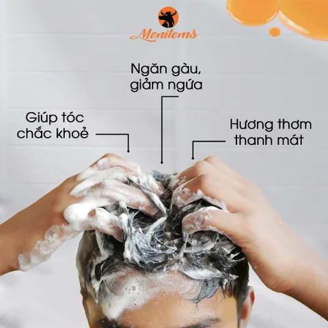 Dầu Gội Ngăn Gàu Menitems - Dưỡng Tóc, Giảm Ngứa, Giúp Mọc Tóc, Tinh Dầu Bưởi, Hương Nước Hoa Nam Tính, Chăm Sóc Tóc Nam