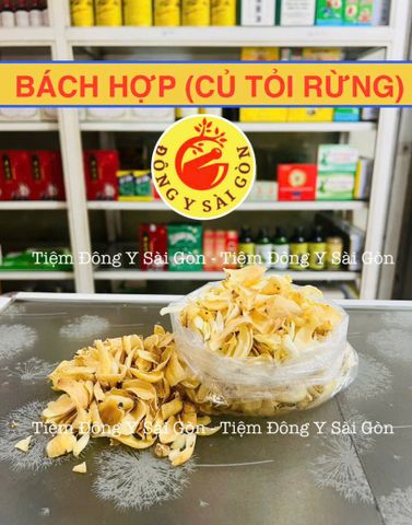 Hạt Bách Hợp (Củ Tỏi Rừng) - Hạt Dinh Dưỡng Cao Cấp, Giảm Căng Thẳng, Chăm Sóc Sức Khỏe - Hỗ Trợ Ngủ Ngon