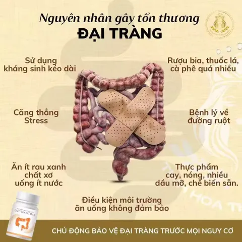 Lacttocol Max - Thực Phẩm Chức Năng Hỗ Trợ Tiêu Hóa, Giảm Trào Ngược Dạ Dày, Viêm Dạ Dày, 30 Viên