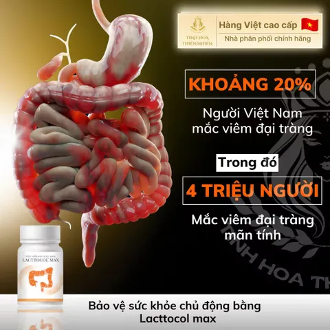 Lacttocol Max - Thực Phẩm Chức Năng Hỗ Trợ Tiêu Hóa, Giảm Trào Ngược Dạ Dày, Viêm Dạ Dày, 30 Viên