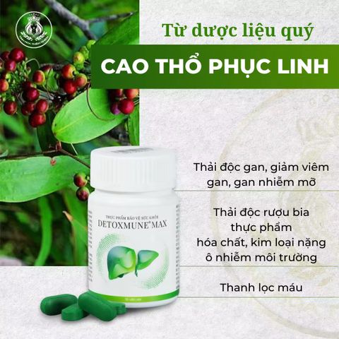 Viên Uống Giải Độc Gan Detoxmune Max - Bảo Vệ Gan, Giải Độc, Hỗ Trợ Chức Năng Gan 30 Viên/Hộp - Sản Phẩm Chăm Sóc Sức Khỏe