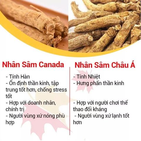 Viên Nhân Sâm CND Ginseng Gold - 60 Viên Tăng Sinh Lực, Giảm Mệt Mỏi, Hỗ Trợ Giảm Stress tự nhiên từ Nhân Sâm Canada
