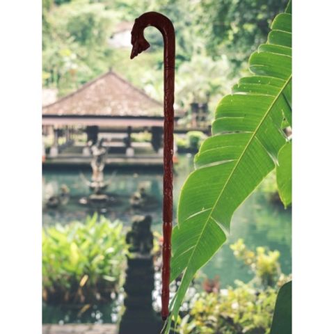 Cây Batoong Bỗ Chống Trơn Trượt Cho Người Cao Tuổi