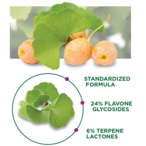 (Fullbox) Viên uống bổ não Ginkgo Biloba 120mg Trunature - bổ sung trí nhớ, giúp tâm trạng và sức khỏe não bộ cho mọi lứa tuổi