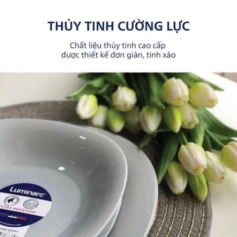 Bộ Đĩa Luminarc Carine Granit 6 Chi Tiết - Set Thủy Tinh Cao Cấp Sang Trọng Sản Xuất Tại Pháp, Dùng An Toàn Trong Vi Sóng 21cm & 19cm