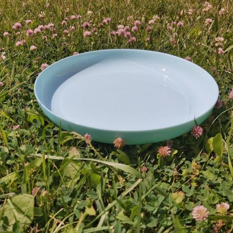 Đĩa Thủy Tinh Luminarc Friend's Time Light Turquoise 25cm - Hàng Chính Hãng Pháp, An Toàn Trong Lò Vi Sóng và Máy Rửa Bát