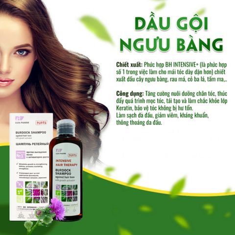 Bộ Dầu Gội Xả Serum Chống Rụng Tóc và Kích Mọc Tóc Elfa Pharm 200ml - Dưỡng Tóc Khỏe Mạnh Từ Ngưu Bàng, Xuất Xứ Ba Lan