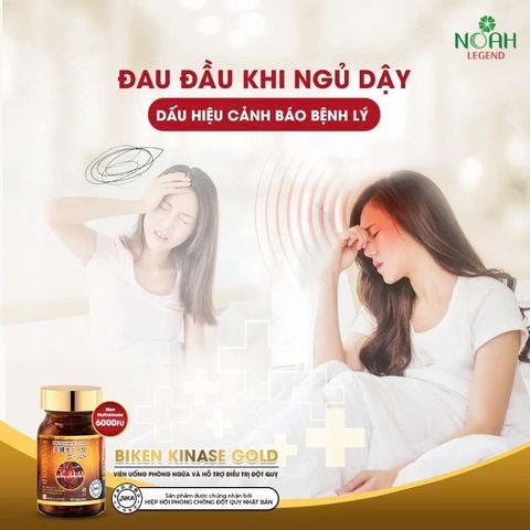 Viên Uống Biken Kinase Gold 60 Viên - Hỗ Trợ Lưu Thông Máu, Phòng Ngừa Đột Quỵ, Chiết Xuất Nattokinase Nhật Bản