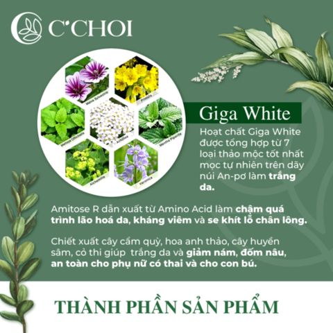 Phấn Nước Cushion C'CHOI - Mịn Da, Nâng Tone, Giữ Ẩm, Chống Nắng - Mỹ Phẩm Xanh Tự Nhiên, Phù Hợp Cho Mọi Loại Da