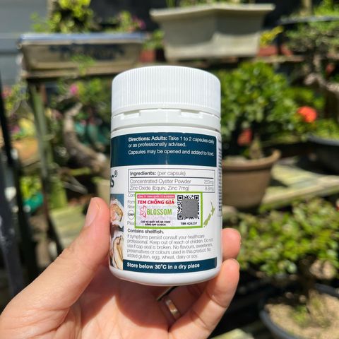 Viên uống Oyster Plus Goodhealth 60 viên - Hỗ trợ sức khỏe sinh sản và miễn dịch cho nam giới - Tăng cường năng lượng và sức đề kháng