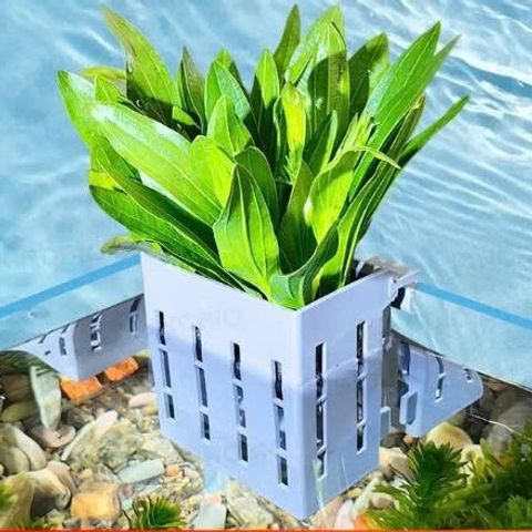 Giỏ Trồng Cây Thủy Canh Móc Treo Bể Cá Tép - Thiết Kế Tiện Lợi, Tăng Tính Thẩm Mỹ Cho Bể Thủy Sinh
