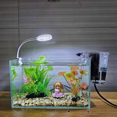 Đèn LED Kẹp Mini Jeneca D1S - Đèn Kẹp 3 Màu 360 Độ Cho Bể Cá Cảnh, Thủy Sinh - Tiết Kiệm Điện, Hiệu Suất Cao