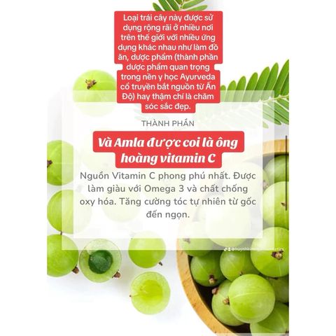 Dầu Ủ Tóc Dabur Amla Oil Ấn Độ - Dưỡng Tóc Khỏe, Mượt, Dày Tự Nhiên từ 14 Loại Thảo Mộc - Sản Phẩm Dành Cho Nam Nữ