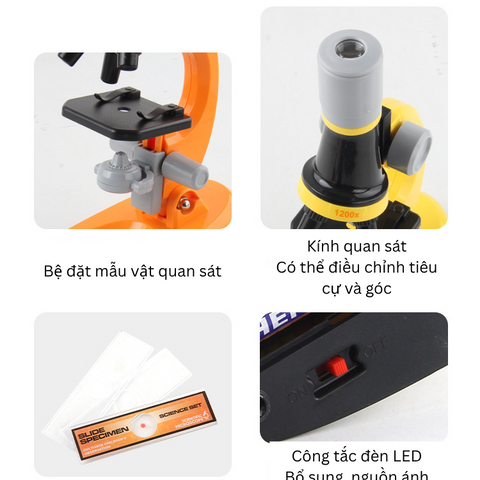 Kính Hiển Vi Cầm Tay Phóng Đại 100-400x Cho Bé - Khám Phá Khoa Học STEM, Quà Tặng Giáo Dục Sáng Tạo