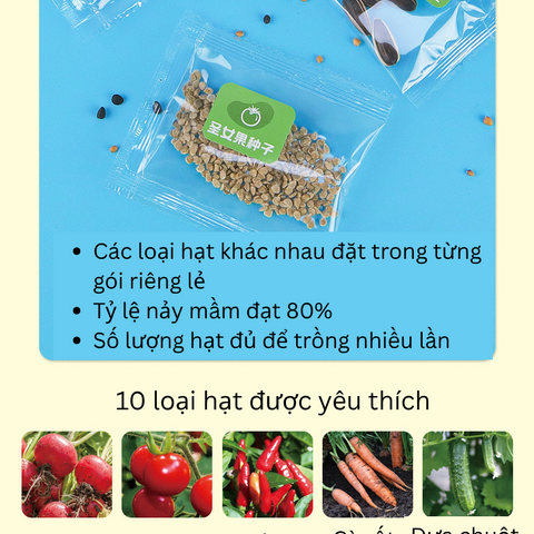 Bộ Kit Nhà Kính Trồng Cây Mini Cho Bé - Đồ Chơi Giáo Dục STEM Quan Sát Sinh Trưởng Cây Cảnh Thân Thiện Môi Trường