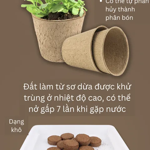 Bộ Kit Nhà Kính Trồng Cây Mini Cho Bé - Đồ Chơi Giáo Dục STEM Quan Sát Sinh Trưởng Cây Cảnh Thân Thiện Môi Trường
