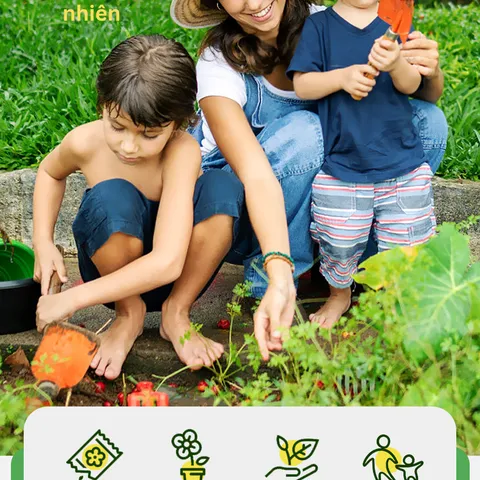 Bộ Kit Nhà Kính Trồng Cây Mini Cho Bé - Đồ Chơi Giáo Dục STEM Quan Sát Sinh Trưởng Cây Cảnh Thân Thiện Môi Trường