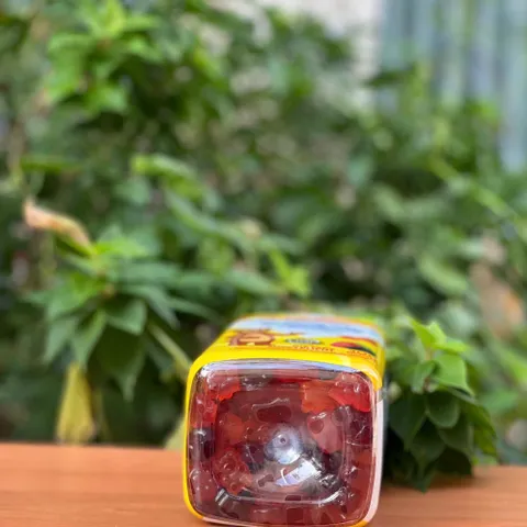 Kẹo Gummy Vites L’il Critters Bổ Sung Vitamin cho Trẻ Em - 300 Viên, Hỗ Trợ Sức Khỏe và Phát Triển Tối Ưu